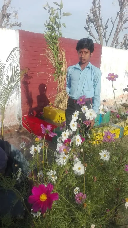 Green Seekers Activity